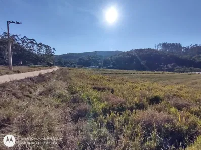 Lote/Terreno à venda, 40000m² no , Ilhota