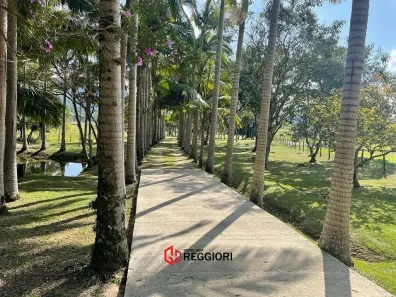 Fazenda/Sítio à venda, 15595m² no Monte Alegre, Camboriú