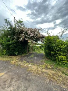 Fazenda/Sítio com 1 Quarto à venda, 150m² no Loiolas, Limeira