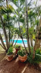 Fazenda/Sítio com 3 Quartos à venda, 10m² no Chácara Alvorada, Indaiatuba