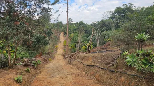 Fazenda/Sítio com 3 Quartos à venda, 200m² no Igaveta, Araçariguama
