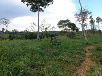 Fazenda/Sítio com 4 Quartos à venda, 6001600m² no , Machadinho D'Oeste