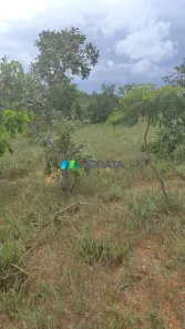 Fazenda/Sítio com 1 Quarto à venda, 105m² no Tomás Gonzaga, Curvelo