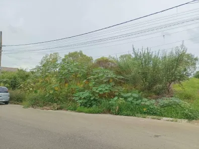 Lote/Terreno à venda, 250m² no Jardim Japão (Caucaia do Alto), Cotia