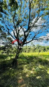 Fazenda/Sítio com 3 Quartos à venda, 77440m² no Caetetuba, Atibaia