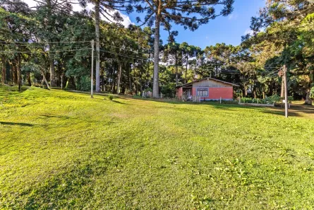 com 1 Quarto à venda, 54160m² no Contenda, São José dos Pinhais