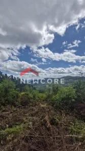 Lote/Terreno à venda, 20000m² no Centro, São Francisco de Paula