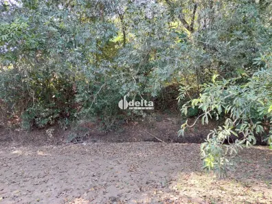 Lote/Terreno à venda, 6044m² no Shopping Park, Uberlândia
