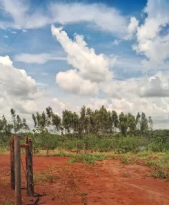 Fazenda/Sítio à venda, 25000m² no Área Rural de Campo Grande, Campo Grande