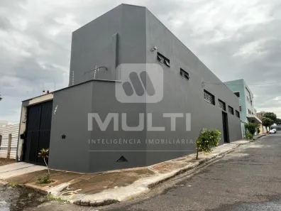 Casa com 1 Quarto para alugar, 300m² no Pampulha, Uberlândia