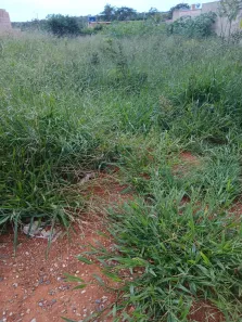 Lote/Terreno à venda, 360m² no Residencial Campestre, Sete Lagoas