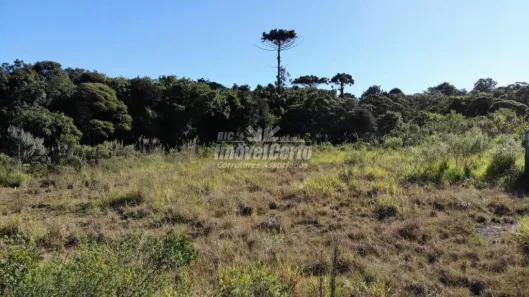 Lote/Terreno à venda, 22621m² no Cidade Industrial, Curitiba