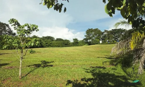 Lote/Terreno com 1 Quarto à venda, 2500m² no Residencial Aldeia do Vale, Goiânia