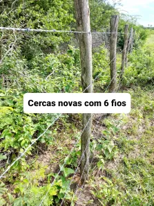 Fazenda/Sítio à venda, 120000m² no , Lagoa de Pedras
