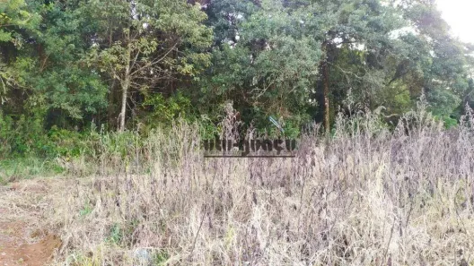 Lote/Terreno à venda, 96800m² no , Piedade