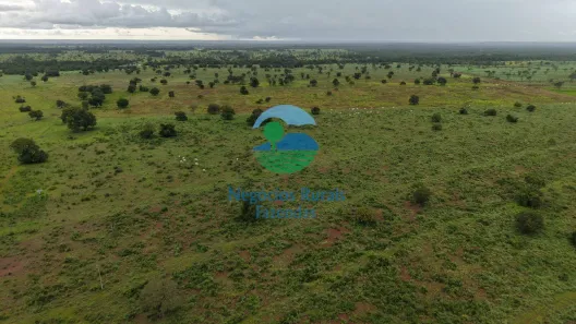 Fazenda/Sítio com 6 Quartos à venda, 2020m² no Setor Central, São Miguel do Araguaia