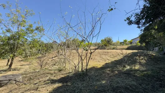 Fazenda/Sítio com 1 Quarto à venda, 63m² no Jardim das Paineiras II, São José dos Campos
