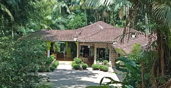 Fazenda/Sítio com 4 Quartos à venda, 17000m² no Centro, Morretes