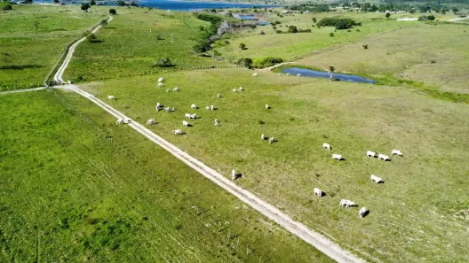 Fazenda/Sítio com 3 Quartos à venda, 1500000m² no , Macaíba