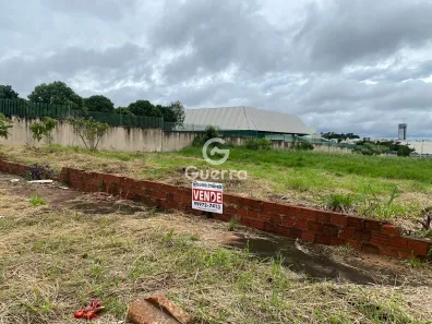 Lote/Terreno à venda, 440m² no Jardim Guaporé, Maringá