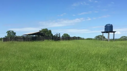 Fazenda/Sítio à venda, 252m² no , Poconé