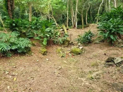 Lote/Terreno à venda, 650m² no Toque-Toque Grande, São Sebastião