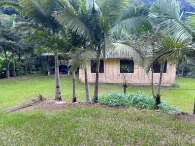 Fazenda/Sítio com 2 Quartos à venda, 20000m² no Margem Esquerda, Ilhota
