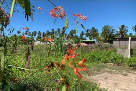 Lote/Terreno à venda, 405m² no , Porto de Pedras