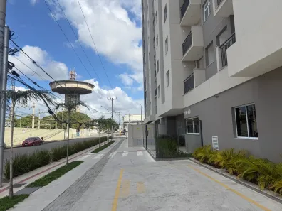 Apartamento com 2 Quartos para alugar, 46m² no Planalto de Carapina, Serra