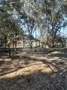 Lote/Terreno à venda, 1238m² no Village Campinas, Campinas
