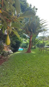 Fazenda/Sítio com 7 Quartos à venda, 328m² no Colinas do Mosteiro de Itaici, Indaiatuba