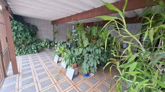 Casa com 3 Quartos para alugar, 150m² no Planalto Paulista, São Paulo