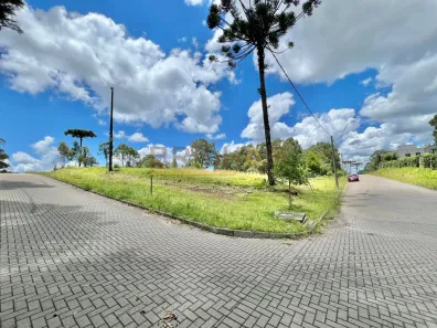 Lote/Terreno à venda, 1047m² no São Ciro, Caxias do Sul
