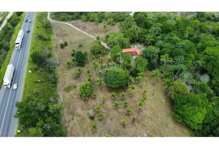 Fazenda/Sítio à venda, 17570m² no Alagoinhas Velha, Alagoinhas