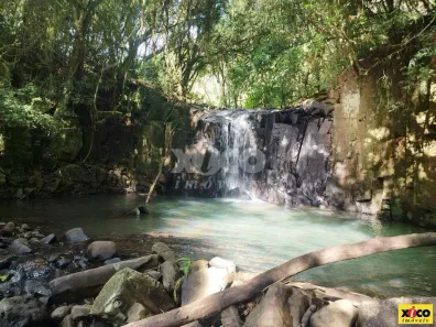 Fazenda/Sítio com 1 Quarto à venda, 5000m² no Nova Petrópolis, Nova Petrópolis