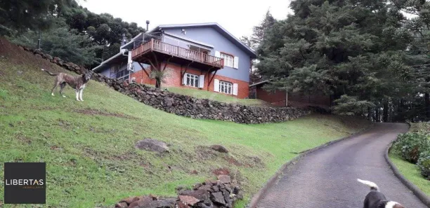 Fazenda/Sítio com 3 Quartos à venda, 229m² no Centro, São Francisco de Paula