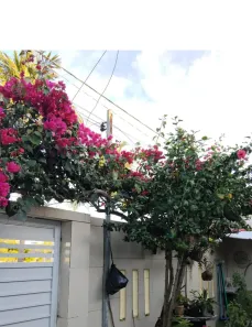 Casa com 3 Quartos à venda, 106m² no Aruana, Aracaju