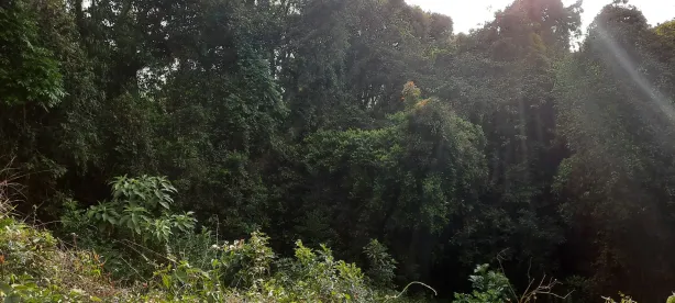 Lote/Terreno à venda, 1120m² no Caraguatá, Mairiporã