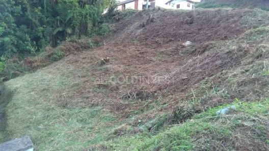 Lote/Terreno à venda, 490m² no Souza Cruz, Brusque