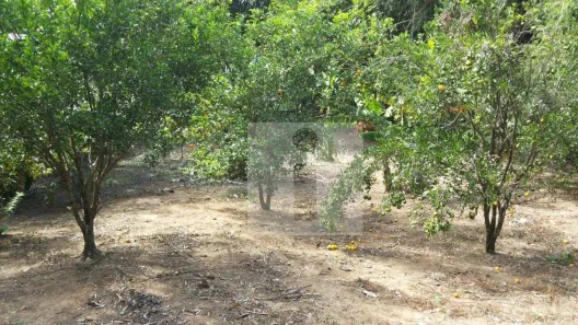 Lote/Terreno à venda, 1770m² no Parque Jatibaia (Sousas), Campinas