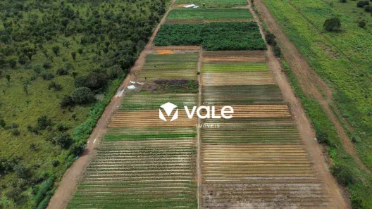 Fazenda/Sítio à venda, 2000m² no Área Rural de Palmas, Palmas