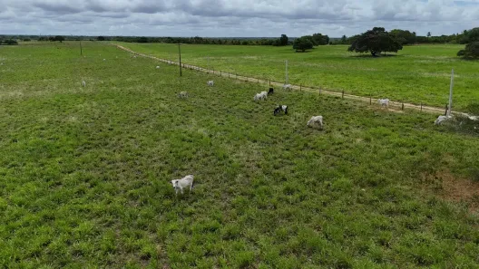 Fazenda/Sítio com 10 Quartos à venda, 2380000m² no , Poço Branco