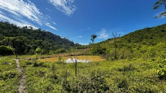 Fazenda/Sítio à venda, 145200m² no Paiol de Baixo, Campina Grande do Sul