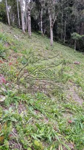 Lote/Terreno à venda, 907m² no , Rancho Queimado