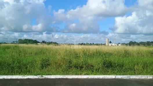 Lote/Terreno à venda, 346m² no , Paudalho