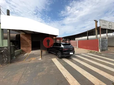 Galpão/Depósito/Armazém com 3 Quartos à venda, 230m² no Cecap, São José do Rio Preto