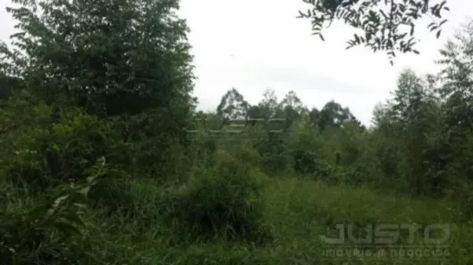 Lote/Terreno à venda, 55000m² no Fazenda São Borja, São Leopoldo