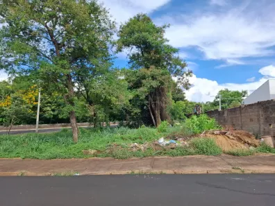 Lote/Terreno para alugar, 259m² no Jardim Califórnia, Ribeirão Preto