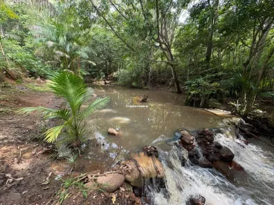 Fazenda/Sítio com 5 Quartos à venda, 60000m² no Área Rural de Palmas, Palmas