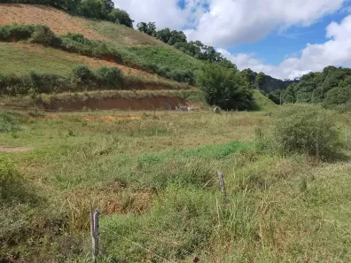 Lote/Terreno à venda, 10000m² no , Domingos Martins